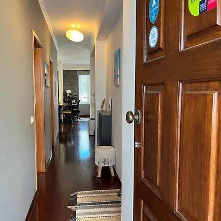 Apartment Surf Nest